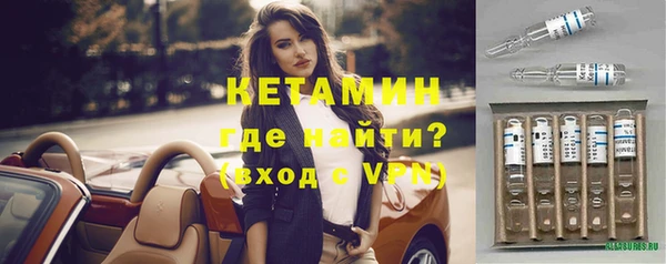 шишки Бородино