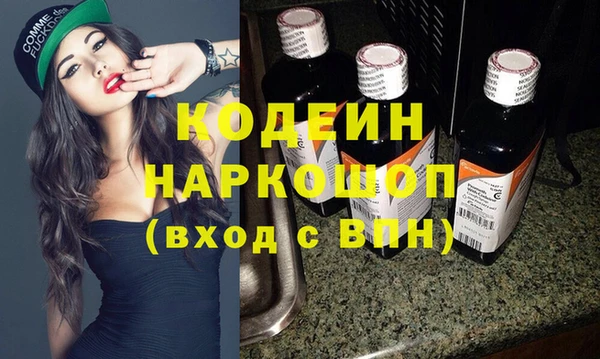 шишки Бородино