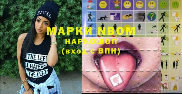 шишки Бородино