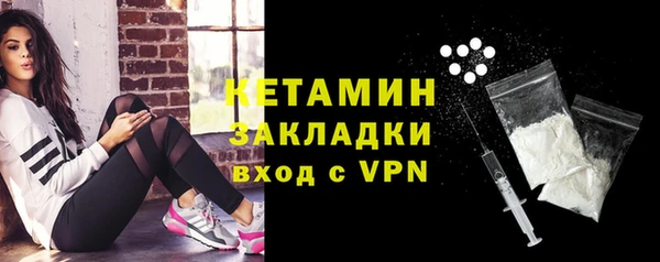 шишки Бородино