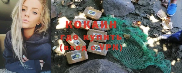 шишки Бородино