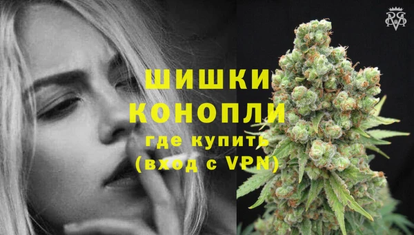 гидра Бугульма