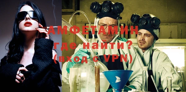 шишки Бородино