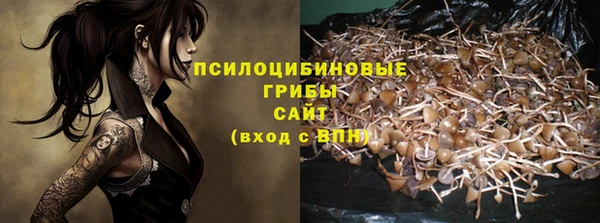 гидра Бугульма