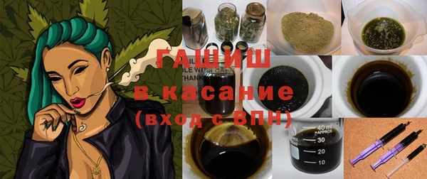 шишки Бородино