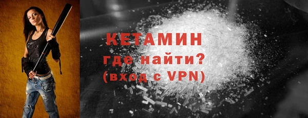 шишки Бородино