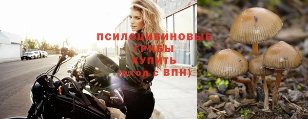 гидра Бугульма