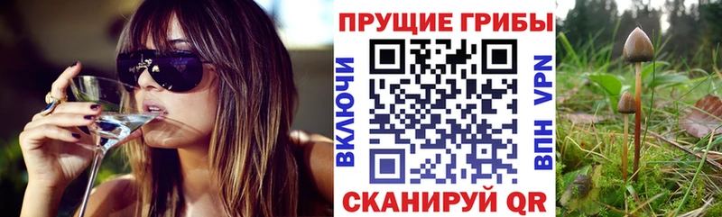 Псилоцибиновые грибы GOLDEN TEACHER  Нарткала 